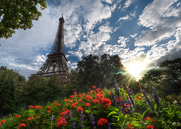 Spring Day in Paris